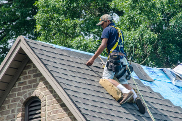 Roof Gutter Cleaning in Chadwicks, NY